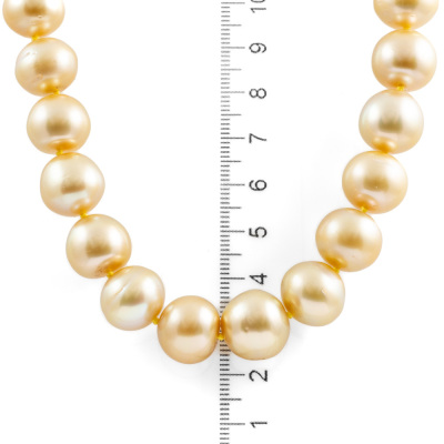 11.2-14.9mm Gold South Sea Pearl Necklace - 5