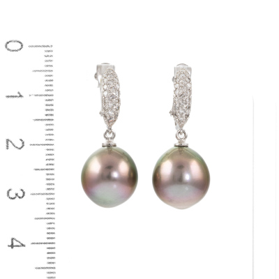 11.6mm - 11.8mm Tahitian Pearl Earring - 3