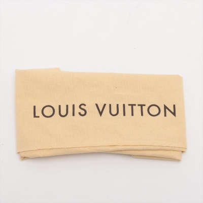 Louis Vuitton Pochette Accessories 24 - 12