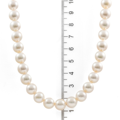 8.5mm - 9.0mm Akoya Pearl Necklace - 3