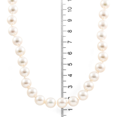 8.5mm - 9.0mm Akoya Pearl Necklace - 8