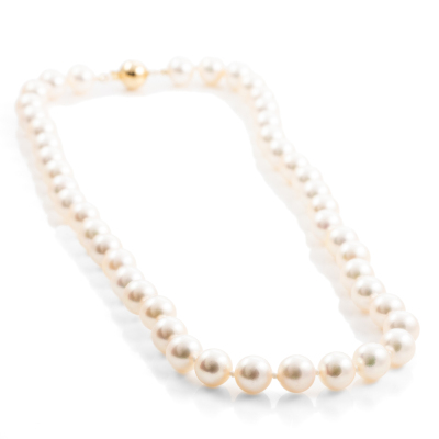 8.5mm - 9.0mm Akoya Pearl Necklace - 9