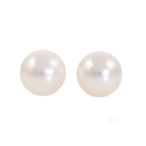 8.4-8.3mm Akoya Pearl Stud Earrings