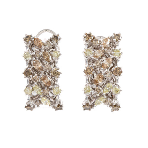 2.00ct Mixed Colour Diamond Earrings