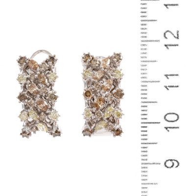 2.00ct Mixed Colour Diamond Earrings - 3