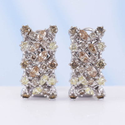 2.00ct Mixed Colour Diamond Earrings - 5