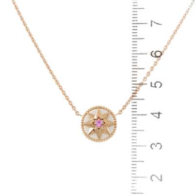 Christian Dior Rose des Vents Necklace - 2