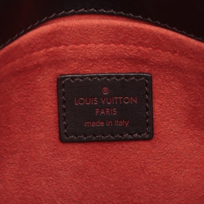 Louis Vuitton Damier Sauvage Lionne Bag - 10